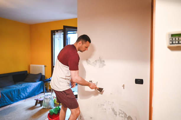 Best Residential Mold Remediation in Grizzly Flats, CA